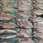 국내산 손질 반건조 임연수 5미 10미 400g 650g 750g 내외 30%건조 이면수 조림 구이 반찬 재료 말린생선 소 중 대사이즈 : MOAA MALL