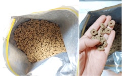 고양이 길냥이 밸런스 영양 사료 노마진 메인캣 닭고기 3kg : 집사들의 놀이터