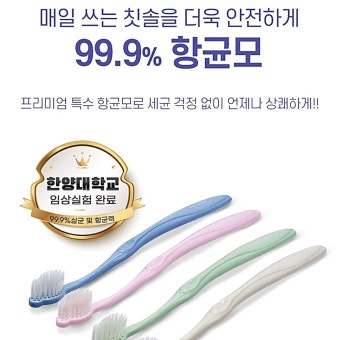 왕칫솔 치아교정칫솔 치과용 임산부 헤드작은 : 퐁퐁이샵