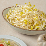 아삭아삭 콩나물 숙주나물 1kg 2kg 4kg : 자연진리