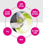타일 백색 줄눈 시멘트 욕실 화장실 백시멘트 보수 1kg : 와이디케이유통