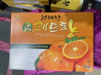 6시 내고향 레드향 3kg : 나주태경농원