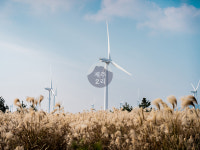 [겨울 산행, 쫄븐갑마장길] 억새의 향연 / 제주2리 / 길 : 제주2리