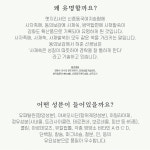 명품 미니뜸 강화 붙이는 쑥뜸 약쑥 귀뜸 효능 오행 왕쑥 뜸효과 가정용 왕 배 뜸치료 : 빅원더