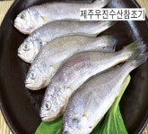 제주 참조기 500g이상 4팩(20마리) : 제주 우진수산