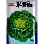 (씨앗) 아삭 봄동배추 - 아삭하고 고소한 맛이 좋은 봄동 배추 씨앗 종자 - 20g : 진양원예사