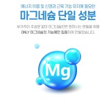 마그네슘 효능 90정 약국 마그비 산화마그네슘 : 영양닷컴