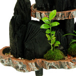 숯부작3호 공기정화참숯 숯화분 집들이선물 개업 제습용숯 승진축하 : 미라클 flower24