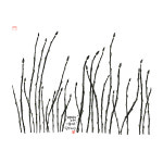 생명의 노래 - 봄기운 [2009] : 이철수의집