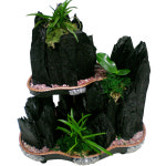 H017숯부작 개업 제습용숯 승진축하 공기정화참숯 숯화분 집들이선물 : 미라클 flower24