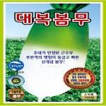 OK농장 [[무] 대복봄무(300립)] 무씨앗, 종묘, 묘종, 씨앗, 채소씨앗, 꽃씨앗(KS종묘) : OK씨앗