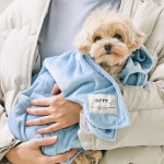 아르르 꿀잠담요 포근한 강아지 고양이 극세사 담요 이불 블랭킷 : 아르르