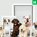 양방향 펫도어 강아지 고양이 중형견 대형견 현관 출입문 방문 화장실문 개구멍 설치 : 힐림