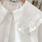 면인형 칼라 나랑 2022년 니가타 오스트랄로피테쿠스 탑 : 아호구대