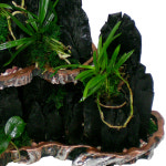 숯부작1호 공기정화참숯 숯화분 집들이선물 개업 제습용숯 승진축하 : 미라클 flower24