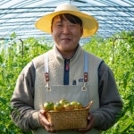 [품평회 대상] 대저토마토 경민농장 짭짤이 2.5kg : 미라클고