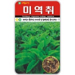 미역취 씨앗 100립 산나물 취나물 종자 토속 민속 채소 아람종묘 : 농사마트