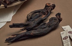 장석열흑삼 키즈홍삼 면역력 어린이 홍삼 주니어 영양제 흑삼 스틱 10ml 30포 : 장석열흑삼