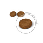 로얄캐닌 고양이 사료 헤어 앤 스킨 케어, 400g, 1개 : 펫 마트