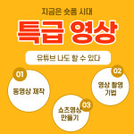 유튜브 크리에이터 자격증 과정 동영상 제작 편집 교육 토마토의멋진세상 서영주강사 : 욜로토마토