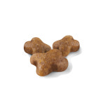 로얄캐닌 고양이 사료 키튼, 2kg, 1개 : 펫 마트