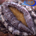 해신수산 완도활전복 특특대 6-8미 1kg 외 선물세트 : 해신수산 영어조합법인