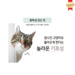 [유통기한 26.2.16] 나인케어 고양이사료 피부피모, 2.4kg, 1개 : 멍냥 상회