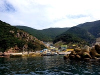 홍도 당일여행 : 동양투어