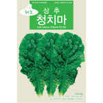 청농 청치마 상추씨앗 3000립 쌈채소 종자 : 스토어 영농사