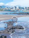 [그을린대도, 삼양해수욕장] 여름 그 자체 / 제주2리 / 바다 : 제주2리