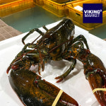 바이킹마켓 캐나다 활 랍스터 500g 1kg 2kg 항공직송 랍스타 바닷가재 : 바이킹마켓