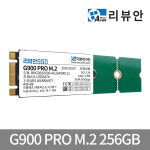리뷰안 G900프로 M.2 SSD 256GB 2242 2260 2280 PC 노트북 : 리뷰안