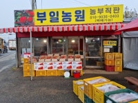 사과사랑예산삽티농원 | 예산 황토 가정용 사과 배 흠과 사과즙 [예산부일농원] : 예산부일농원
