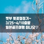 일본 벚꽃시즌! 오이타 벳부 골프 3박4일 패키지 여행[인천출발, 부산출발] : 누림투어