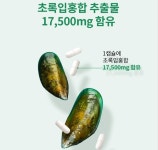 엔젯 투 코리아(NZ to Korea) | 엔젯오리진 뉴질랜드 초록입홍합 관절 뼈 비타민D 17500 nz오리진 710mg x 30 : Health Box