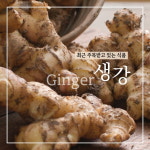 서산 생강청 생강라떼 진저라떼 시골아이 3병 선물포장 : 다온정 공식