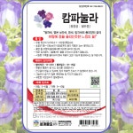 캄파눌라 씨앗 혼합 꽃씨 꽃씨몰 종자 봄 여름 파종 꽃 작물 식물 bell flower : 주주씨앗