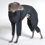 막스플레이 더블텐션 레이싱수트 올인원 블랙 이탈리안그레이하운드옷 아이쥐옷 : MARX PLAY