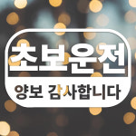 레인스카이 초보운전 스티커 : 바로모터스