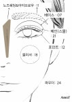 [안씨] 서현역브러쉬 휴대용 미니브러쉬 6pcs 세트 파우치 포함 - 세트5002 : 안씨브러쉬