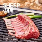 양갈비 통원육(3개월,6개월 숄더랙 프렌치랙 택1)- 양고기 캠핑 토마호크 양갈비 수육 목초육 : SHEEP새끼