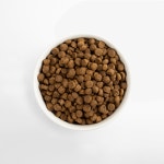 베스트브리드 1등급 홀리스틱 올브리드 사료 올라이프, 1.8kg, 2개 : 몬트라움