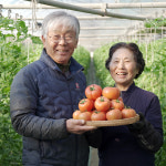 들꽃농장 대대손손 돌여울 토마토 5kg(대중소혼합) : 익산시 마을전자상거래지원단