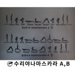 소울매트 아쉬탕가 빈야사 프라이머리 요가매트 : 소울매트 본사