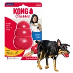 강아지 간식숨기기 공 스낵볼 콩 클래식 대 Kong classic T1 : 와일리캣