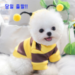 강아지 옷윙윙 꿀벌 후드티셔츠 반려동물옷 : 인기순샵