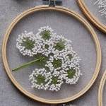 안개꽃 패키지 DIY 수예도구 프랑스자수 자수취미 : 체크데일리
