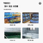 수영장펌프 해수 순환 모터 설비 수영풀 워터펌프 양수기 자동 목욕탕 순환펌프 바닷물 : 망고오빠