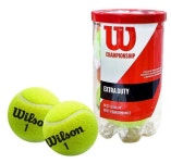윌슨테니스공 WILSON 윌슨 챔피언쉽 테니스공 2개입 WRT1067KO : 우리체육사