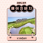 강원도골프 메이플비치CC 1박2일골프패키지 : 로그인투어